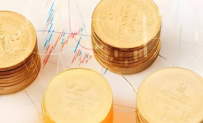 Is it better to pay capital in full or borrow money under the new company law?