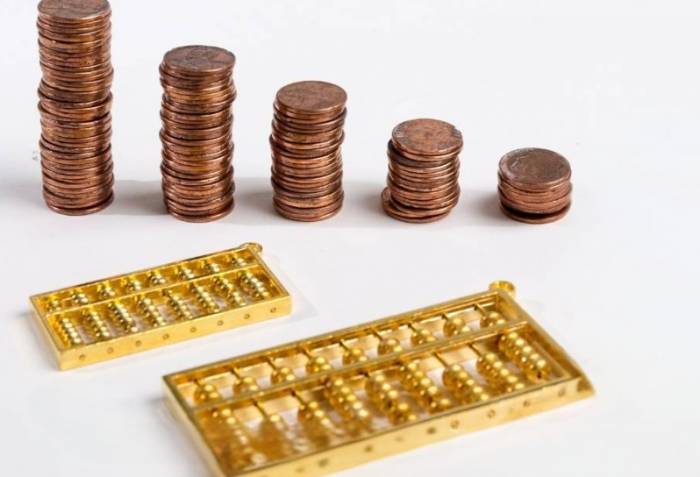 Should a new company choose a natural person or a legal person shareholder?