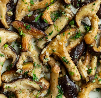 Amazing Shiitake Mushroom Recipes: From Quick Dinners to Gourmet Feasts
