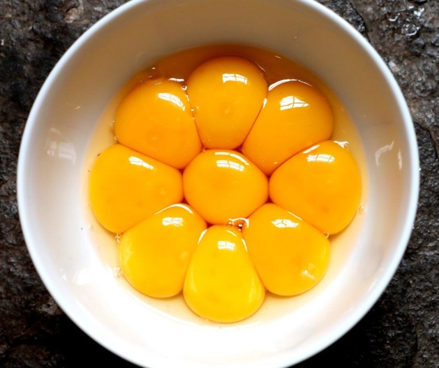 egg yolk uses egg yolk uses
