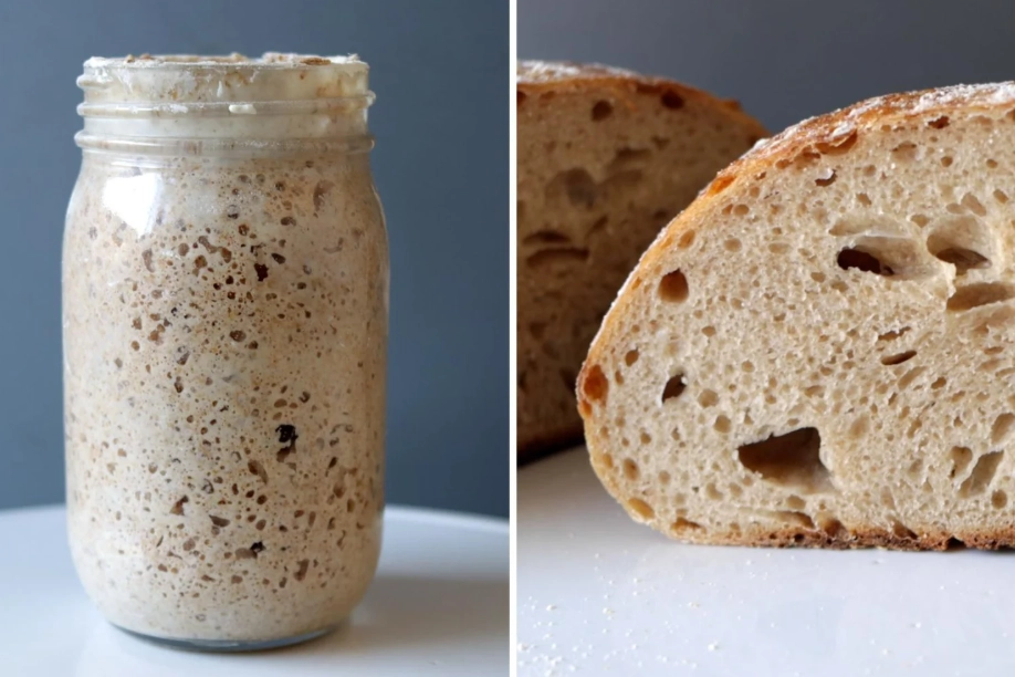 how to make sourdough starter