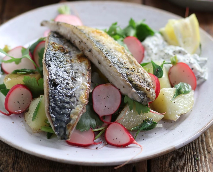 healthy mackerel recipes healthy mackerel recipes