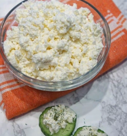 ricotta cheese recipe