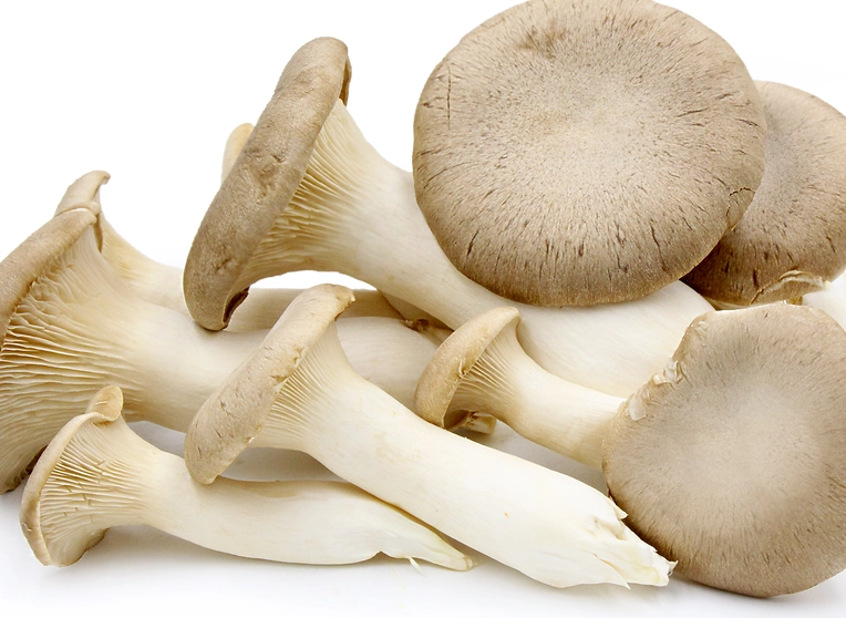 how to cook king trumpet mushrooms how to cook king trumpet mushrooms