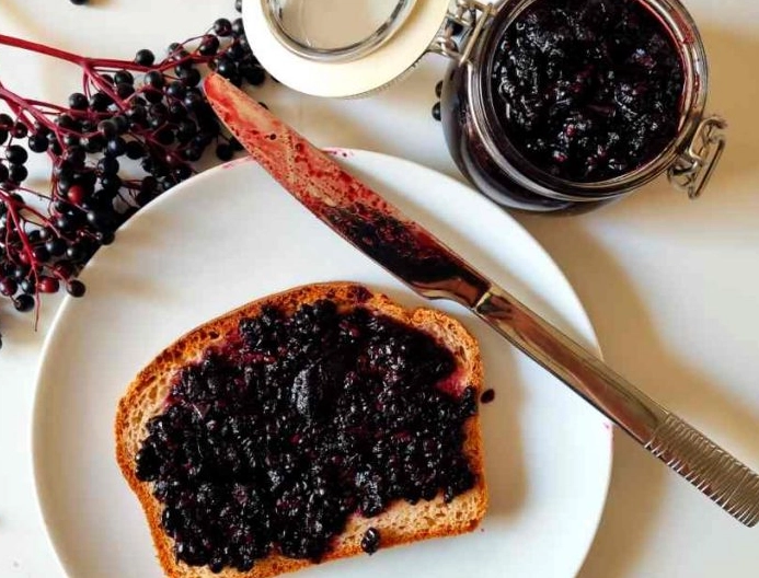 elderberry recipes