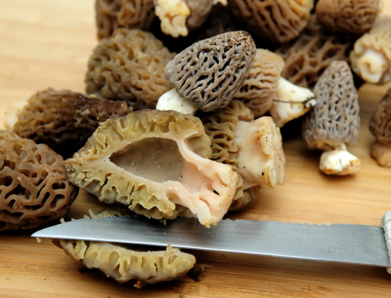 sautéed morel mushrooms