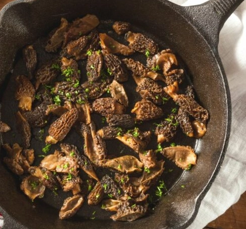 Morel Mushroom Recipes: A Forager's Guide to Cooking