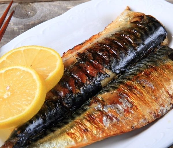 healthy spanish mackerel