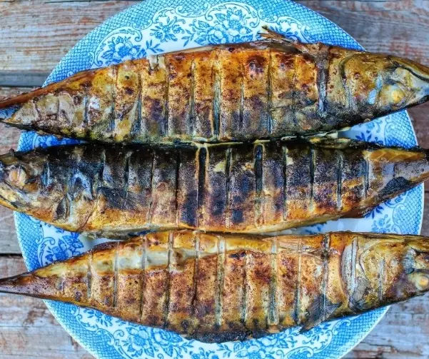 grilled spanish mackerel