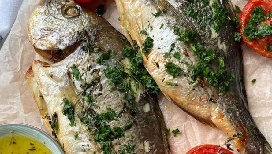mediterranean sea bream
