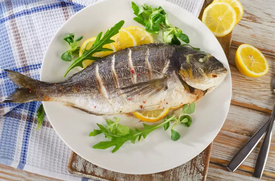 mediterranean sea bream